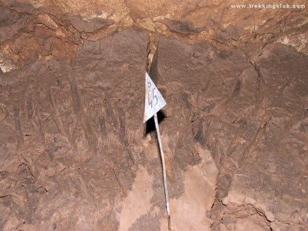 Oso arañazos en las paredes de la cueva