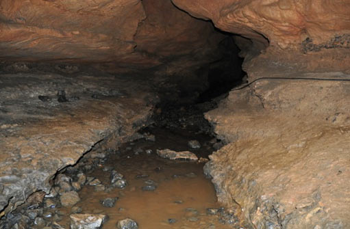 Huellas en CIUR-Izbuc Cueva 