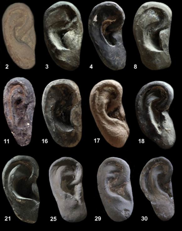 Individuales formas del oído arcilla y estilos representados