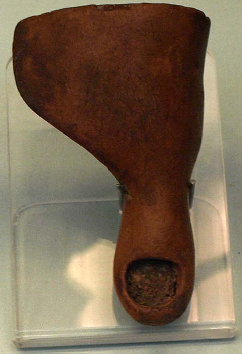 New Revelations When 3,000-Year-Old Prosthetic Toe Is Examined With ...