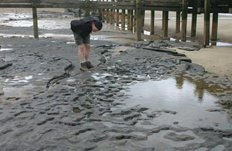 Un arqueólogo examinar las huellas expuestas en Happisburgh