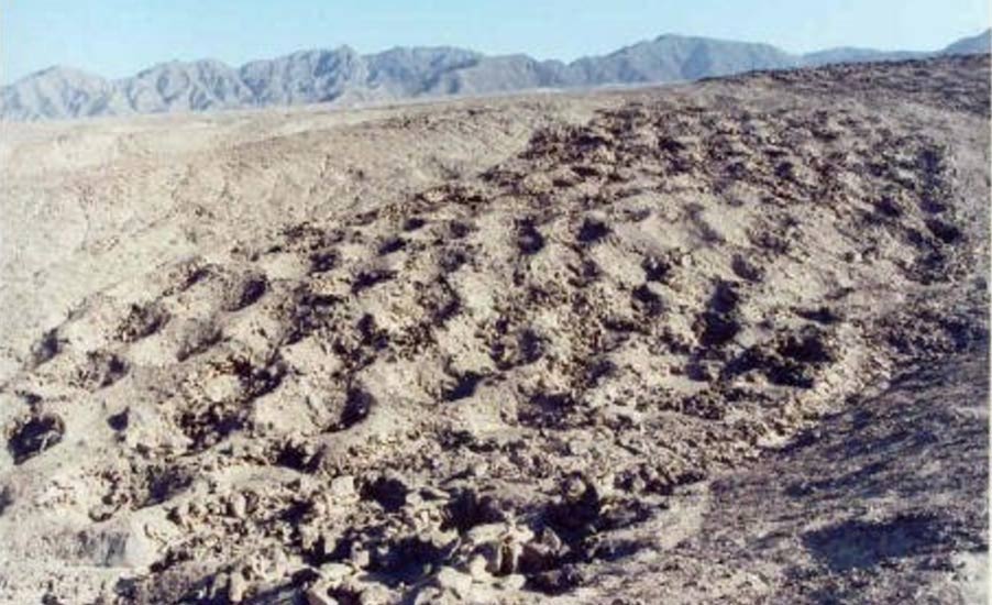 Miles-long band of mysterious and unexplained holes in Pisco Valley - Peru