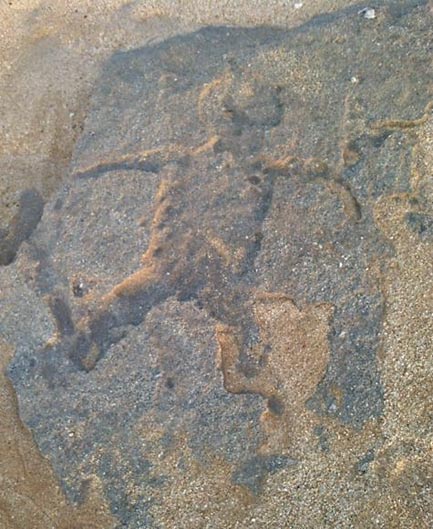 Uno de los petroglifos fotografiadas en la playa de los árboles de pino.