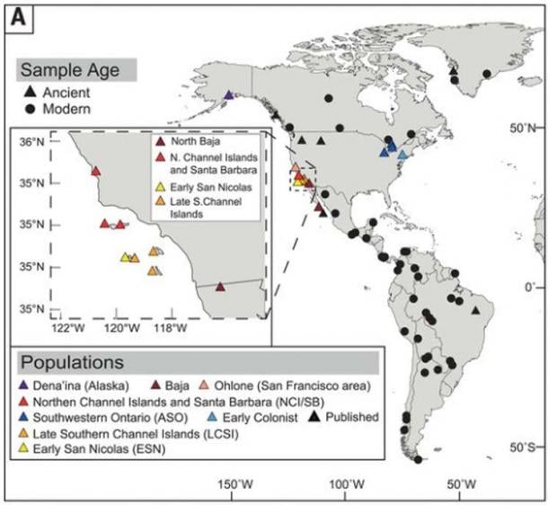 Ancient individuals, population genetic analyses and modeling. (A) Sites of newly sequenced ancient individuals are designated by colored triangles. Comparative modern populations and ancient individuals are designated by black circles and triangles, respectively. (Image: C. L. Scheib et al, Sciencemag)