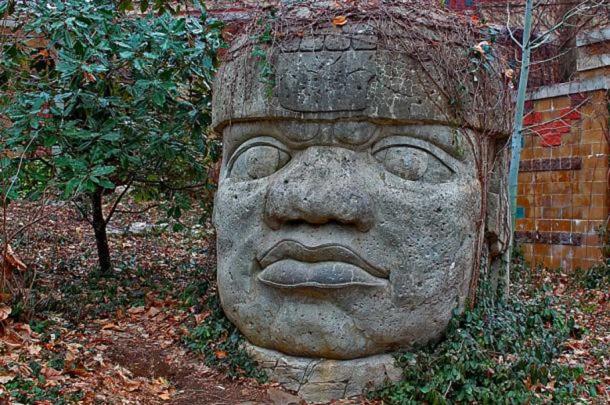 Famous stone head of the Olmec civilization