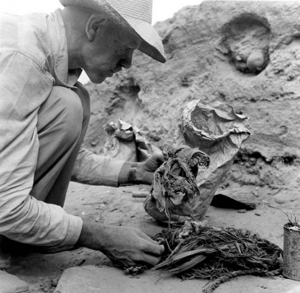 Junius Bird examining textile, botanical, and cordage specimens at Huaca Prieta, 1946-1947. Photo by John Collier.