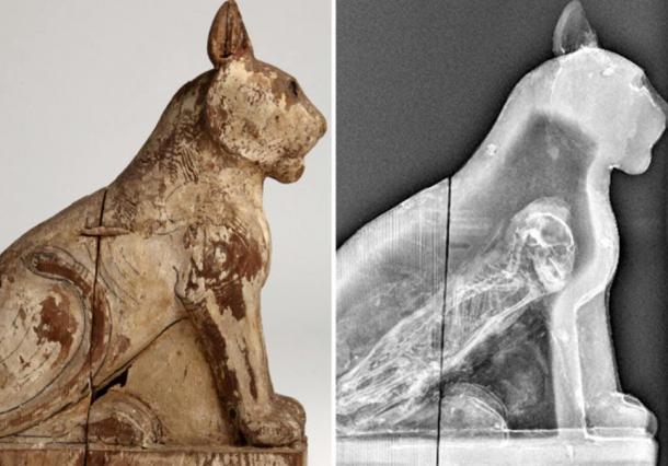 70 millones de animales momificados en Egipto revelan Dark Secret