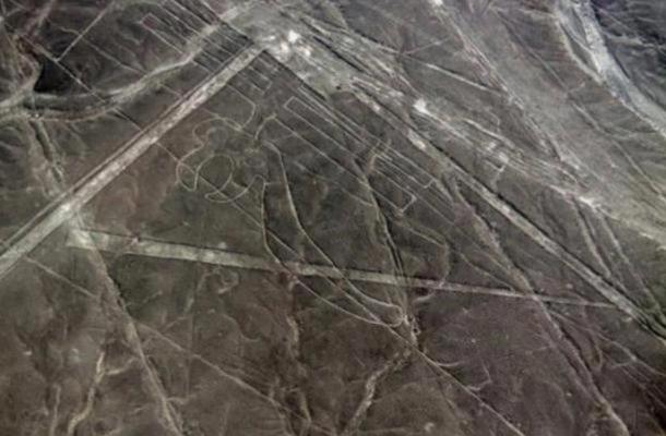 Geoglifo del loro en Nazca.