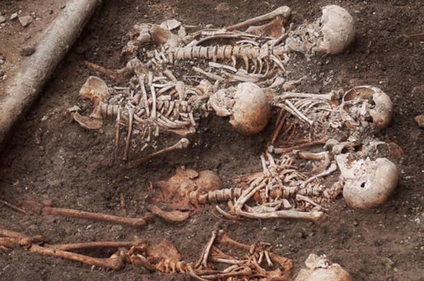 Skeletons unearthed during archaeological excavation, 