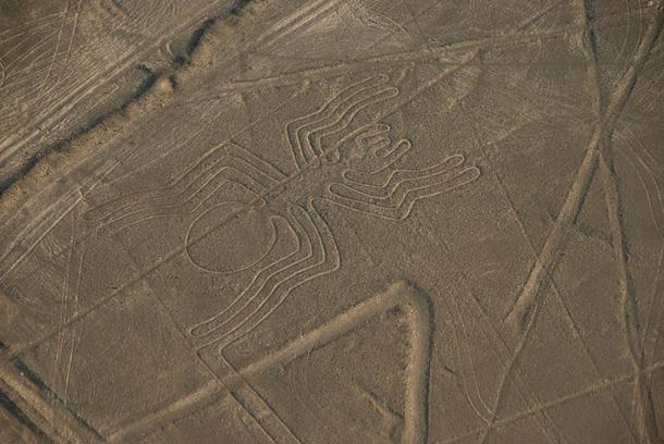 La araña de Nazca