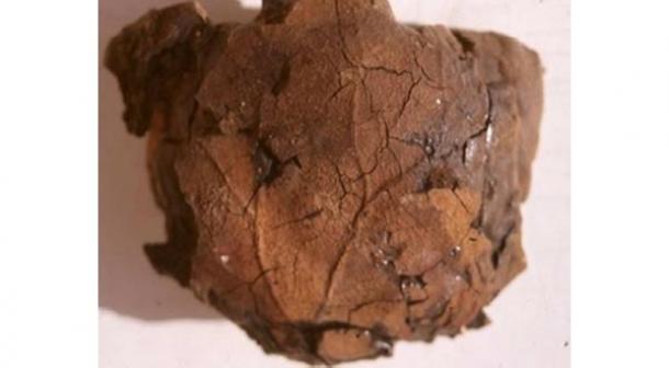 Archaeologists find Egyptian mummy with peculiar skull containing brain imprint