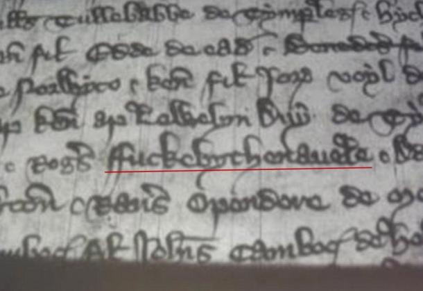 Fuckebythenavele: Los historiadores descubren el uso más antiguo conocido de la palabra-F en 1310 registros de la corte