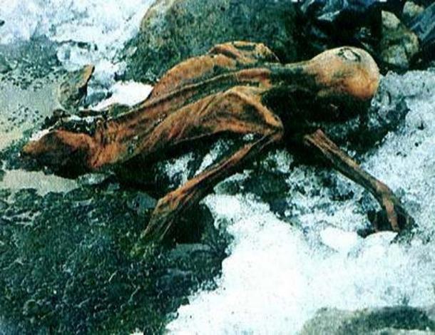 The mummy of Otzi, as it was found