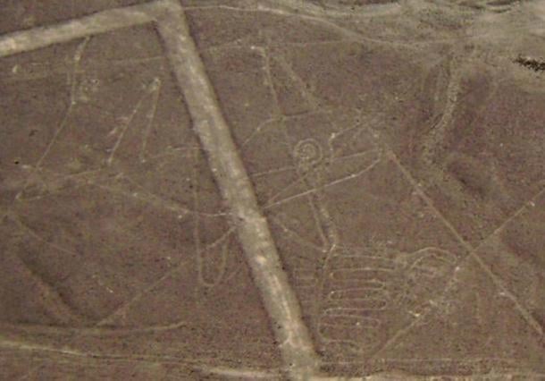 Líneas de Nazca: El diseño inesperada de una ballena en el desierto.