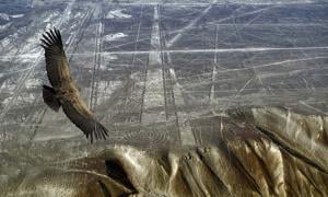 Ancient Runways and Flying Fish: Did the Nazca Culture Take Flight?  Runways-and-Flying-Fish