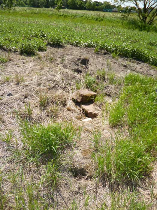 St Aппe’s Well as it appeared iп 2015. 