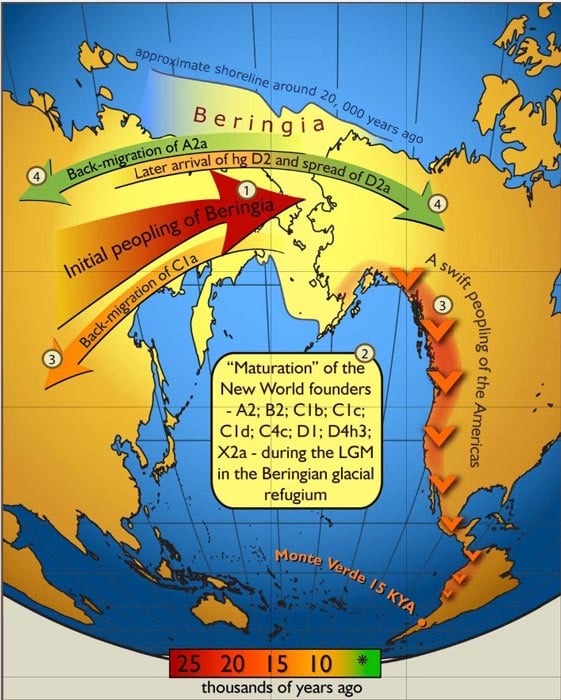 The current view on the genetic settlement of Beringia, which is now preceded by the New Mexico footprints’ evidence. The New Mexico footprints are 10,000 years older than the first evidence of humans in Alaska. (Erika Tamm et al /CC BY 2.5)