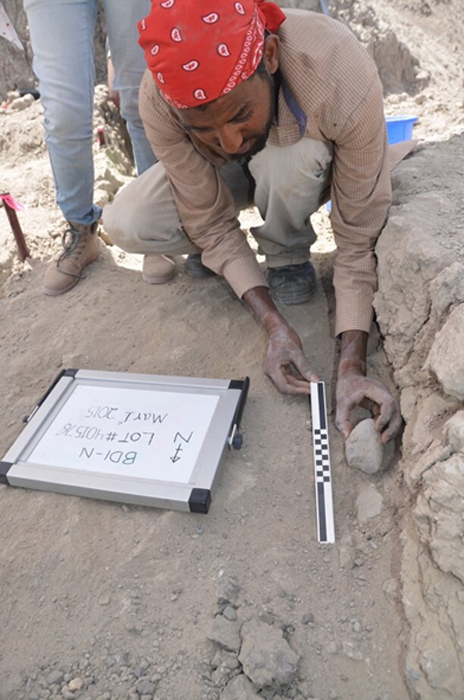 The Engda blade from the University of Poitiers raises an artifact of 2.6 million years old sediments and exposes its imprint on the antique surface below. (David R. Braun)