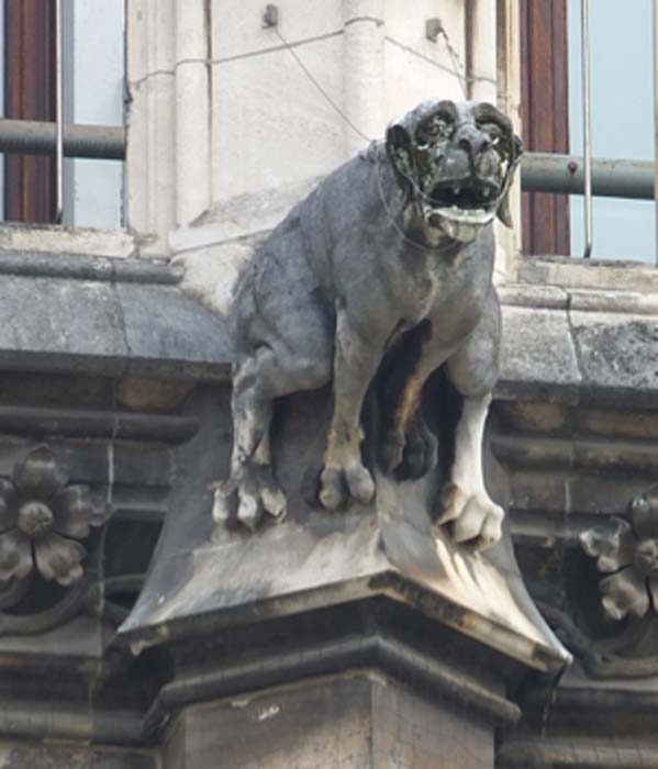 Gárgola de perro en la pared exterior del Neues Rathaus de Munich.  (Ad Meskens / CC BY-SA 4.0)