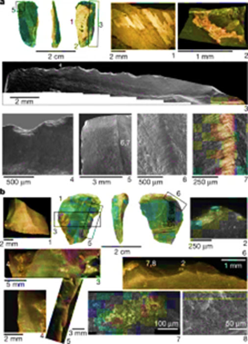 Extraordinarily well preserved bladelet showing microscopic evidence of a bone handle, plant fibers used for binding, and plant polish produced by whittling action found at the oldest ochre workshop in East Asia. (Andreu Ollé / Wang et al / Nature)