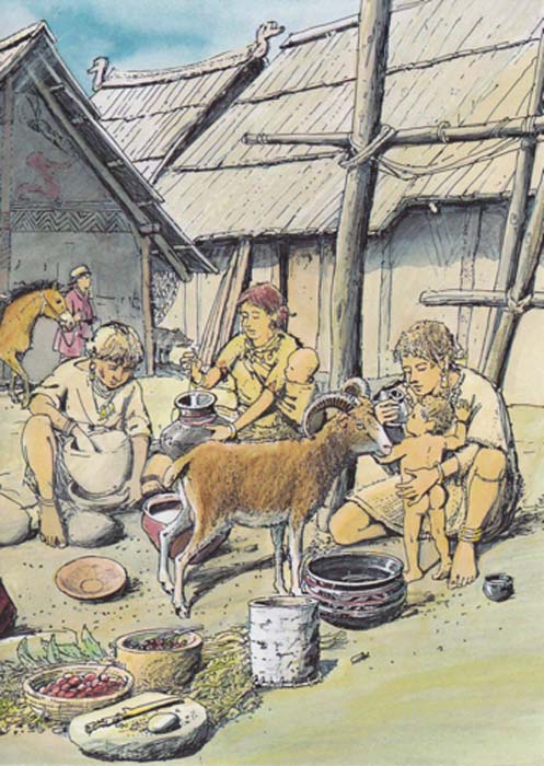 Image shows Bronze age use of baby feeding vessel. (Christian Bisig/Archäologie der Schweiz)