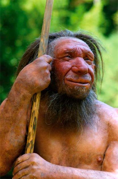 Neanderthal reconstruction. (Neanderthal Museum)