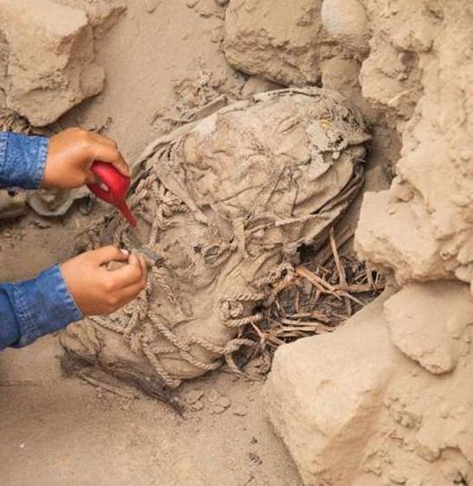 Mummies Of Six Sacrificed Children Found At 1,000-Year-Old Peru Site ...