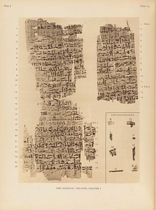 Edwin Smith Papyrus 3 600 Year Old Surgical Treatise Reveals