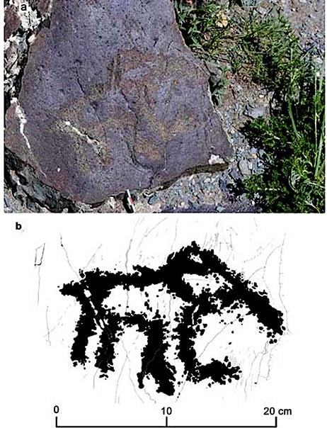 The Paleolithic rock art image of the mammoth calf discovered at Baga-Oygur III in 2017. (Dmitry Cheremisin et al. / Siberian Times)