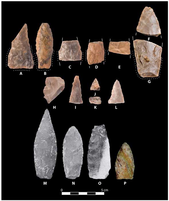 Oldest Weapons Ever Discovered in North America Pre-date Clovis ...