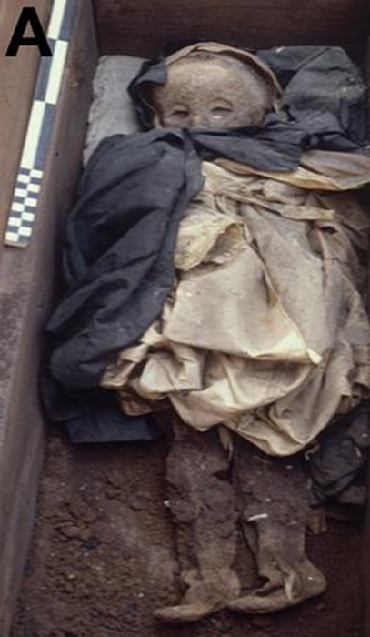 The mummy wearing funerary dress in the coffin.