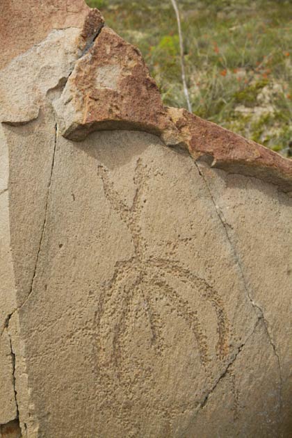 Se cree que algunos de los petroglifos de Boca de Potrerillos son marcadores astronómicos, mapas o un precursor de la escritura. (theneonjaguar / Adobe Stock)