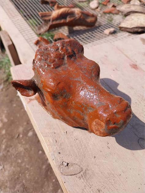 One of the bull heads found placed around the altar. (Paestum Velia Archaeological Park)