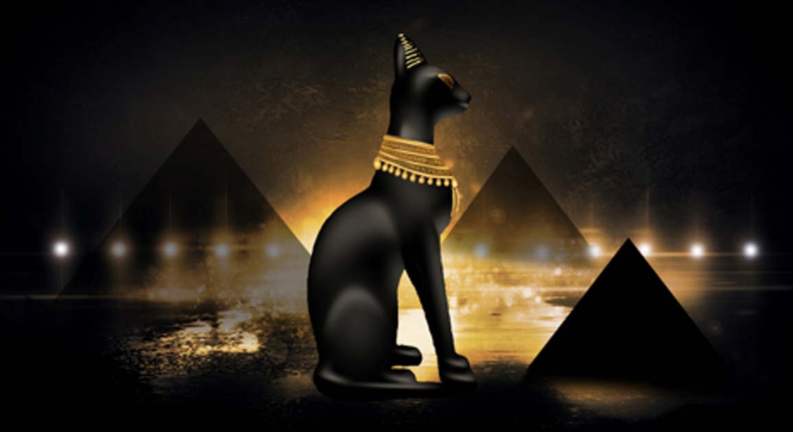 An Egyptian Cat in the Pantheon
