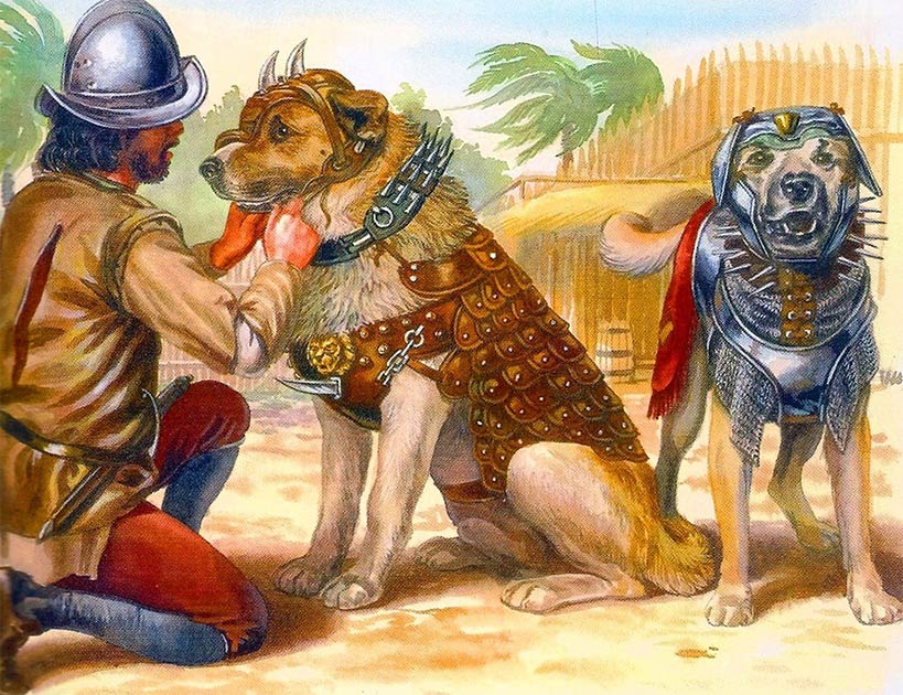 An illustration of Spanish war dogs in battle armor, which must have been similar to Becerrillo of Spanish conquistador fame. (Public domain).