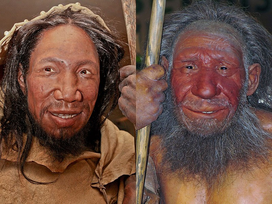 Asian Inbreeding Porn - Prehistoric Humans are Likely to Have Formed Mating Networks ...