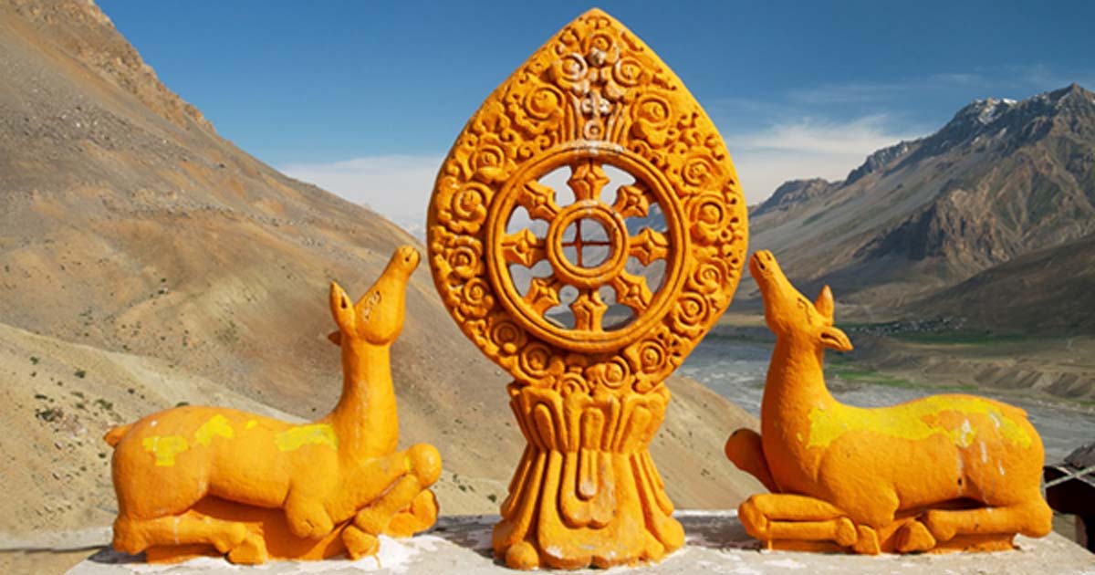 Understanding The Dharma Wheel This Ancient Symbol Holds Secret 