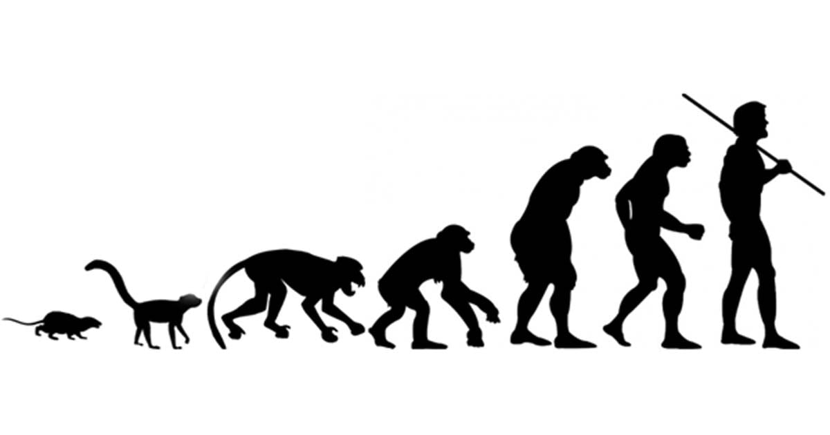 Peer to Peer and Human Evolution