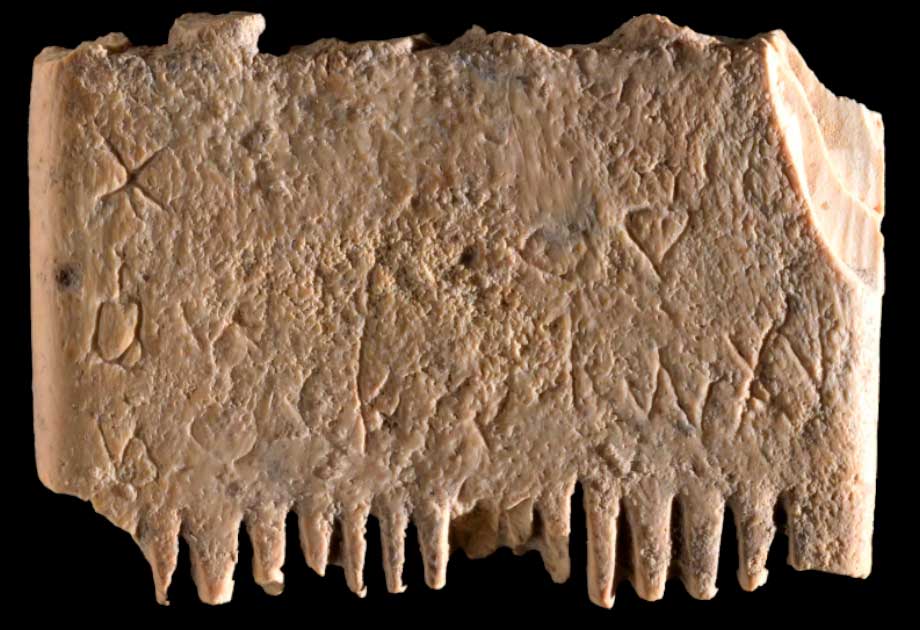 Oldest Written Sentence Found Inscribed On Ancient Head Lice Comb 