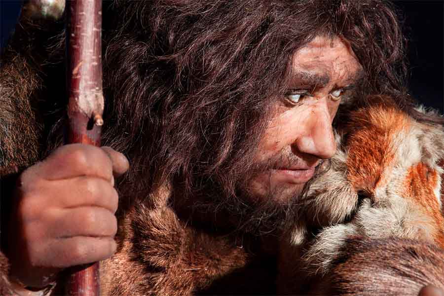 Neanderthal Extinction Tied To Disorder Caused By Mating With Humans