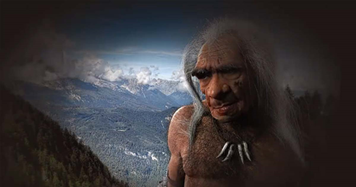 new research on neanderthals