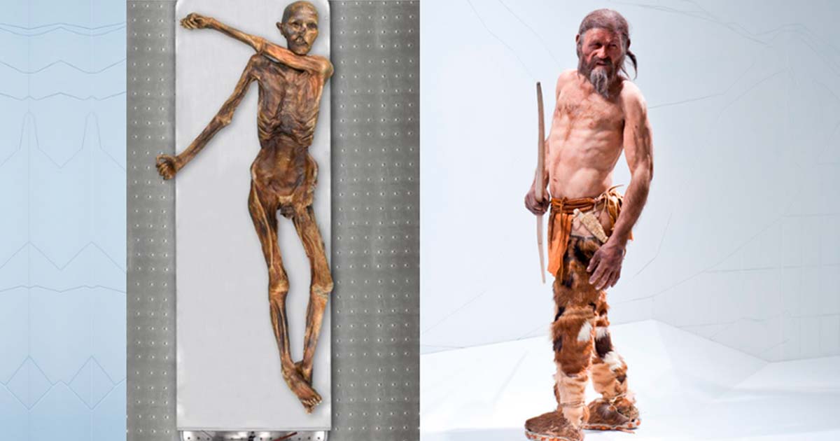 Ötzi the Iceman Genes Trace to Early Anatolian Farmers, and He Had a  Receding Hairline