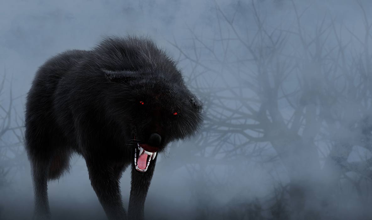 Scary black dog