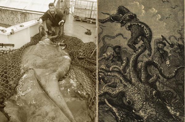 The real-life origins of the legendary Kraken