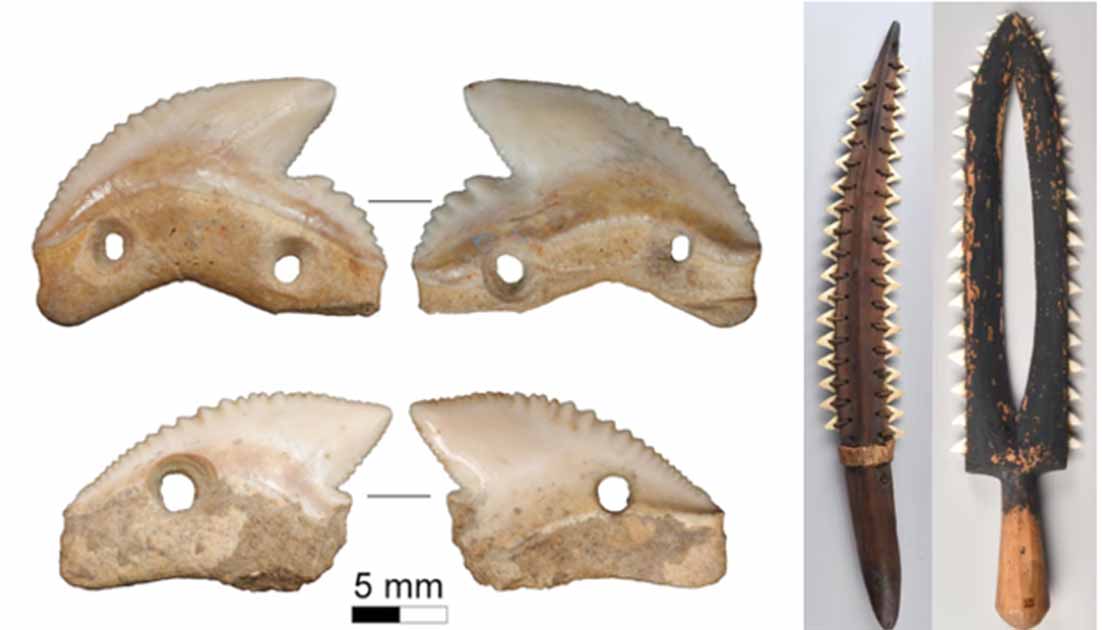 https://www.ancient-origins.net/sites/default/files/field/image/shark-tooth-knife.jpg
