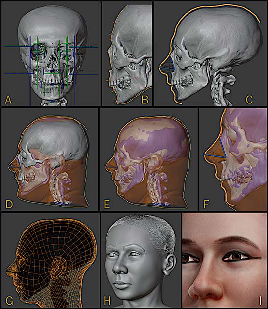 A-I Steps of the forensic facial approximation process. (C. Moraes et al.)