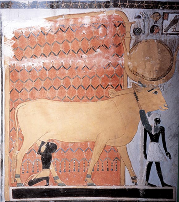 Hathor as a cow suckling a pharaoh.
