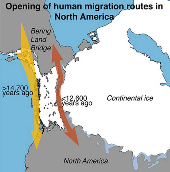 Deschiderea rutelor de migrație umană în America de Nord. 