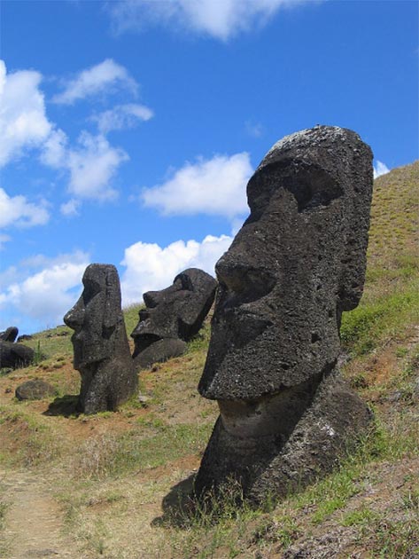 The now world-famous, gigantic Easter Island “Moai” heads - most are accompanied with even larger bodies buried under the ground. (Public Domain)