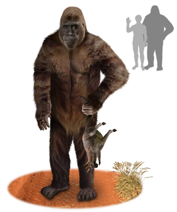 Artist's impression of a Yowie standing with a deceased wallaby in his hand. In the corner is a size comparison that shows a 1,80m man and a 2,10m Yowie. (Tim Bertelink / CC BY-SA 4.0)